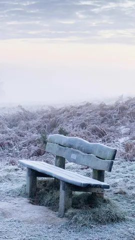 Home of Winnie-the-Pooh