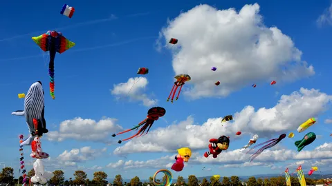 Le ciel en f&ecirc;te