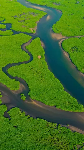 匆匆而逝的河流