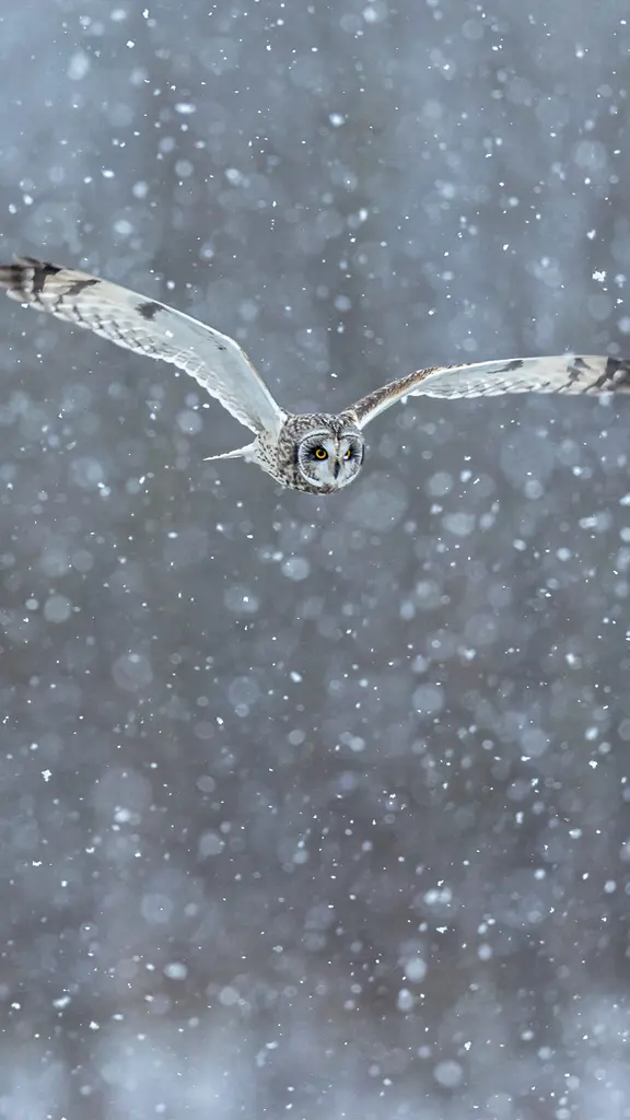 Snow-way you'll miss it