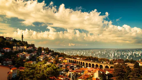 Issate l&rsquo;albero di mezzana!