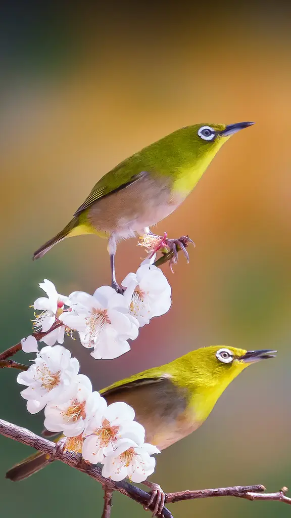 Mi fate un po&rsquo; di spazio?