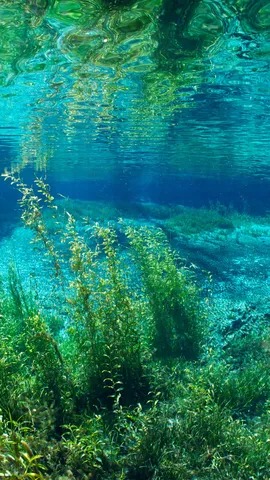 彩虹河的清澈拥抱