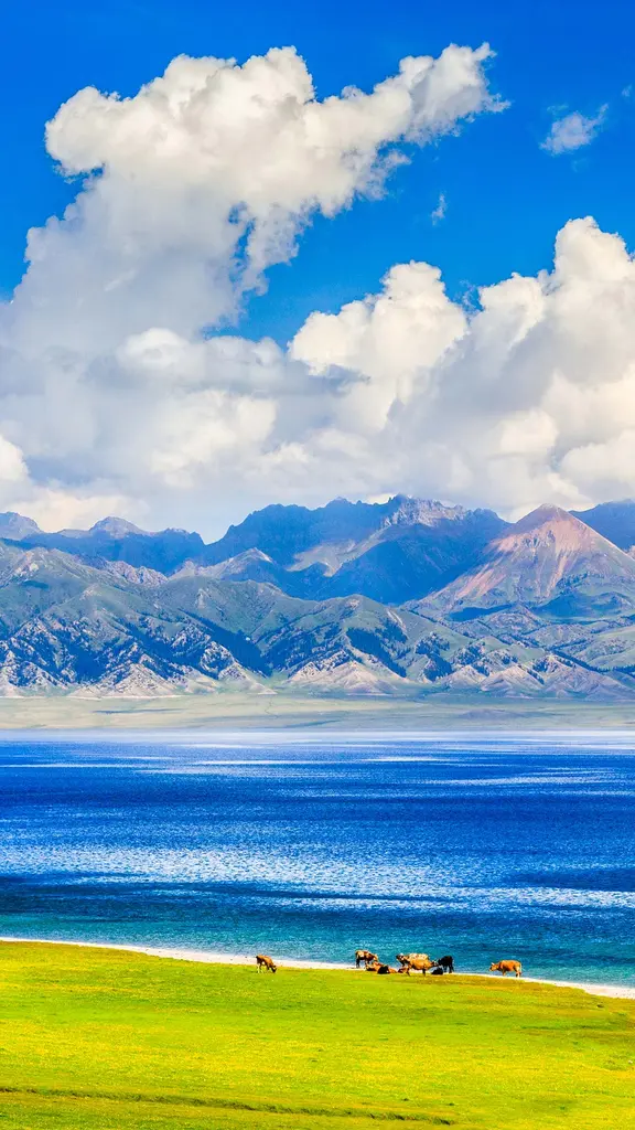 天山上的蓝宝石