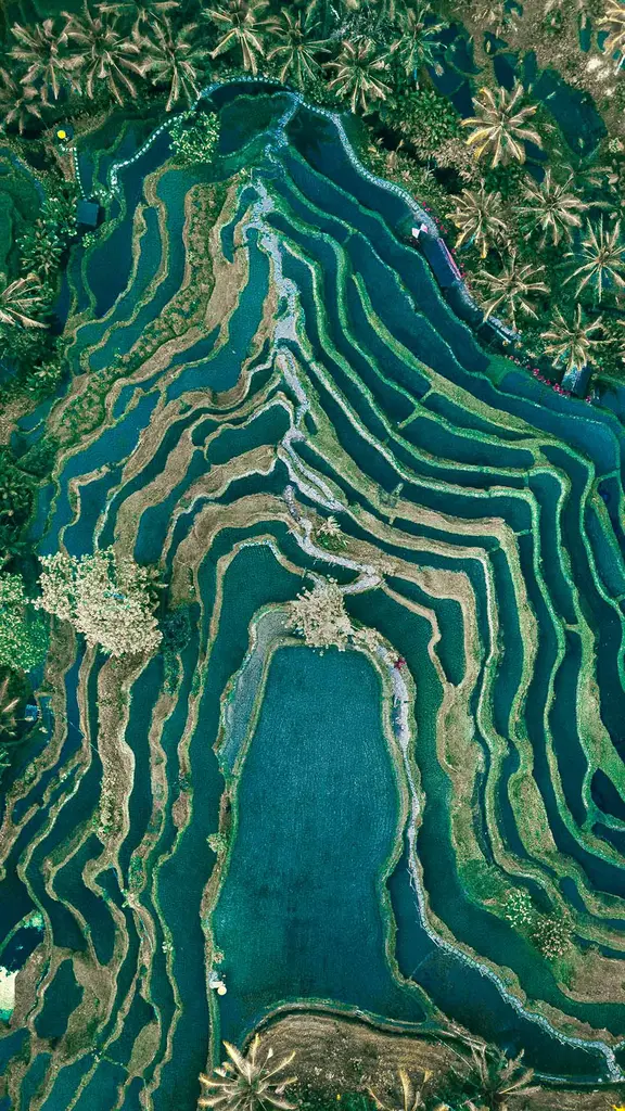 俯瞰层叠的梯田