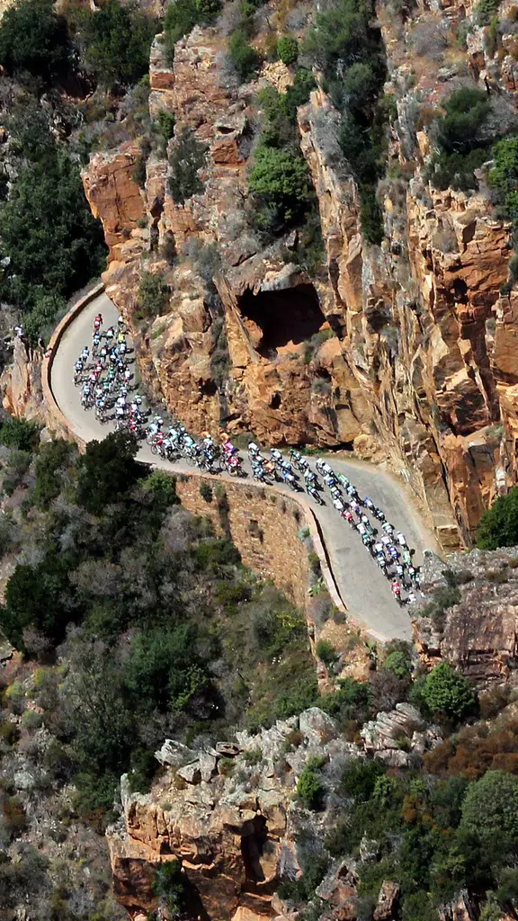 Corsican win this race