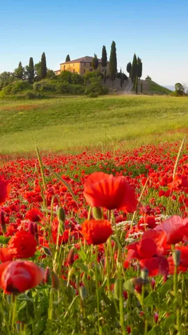 Che fretta c&rsquo;era...