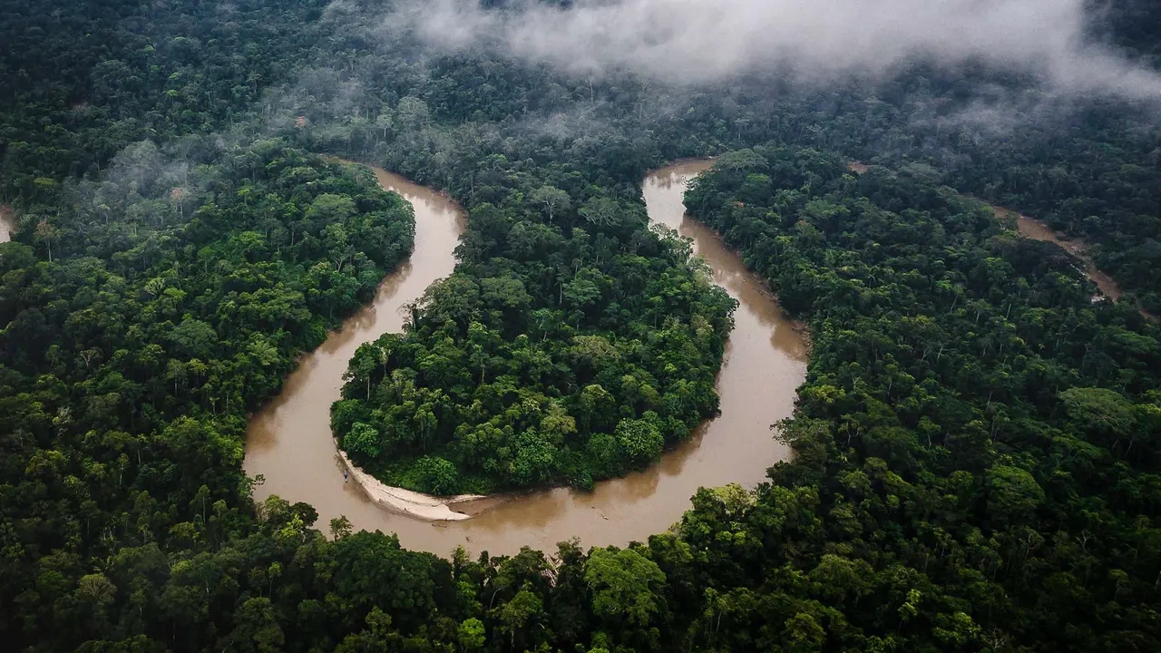Amazon rainforest, Ecuador