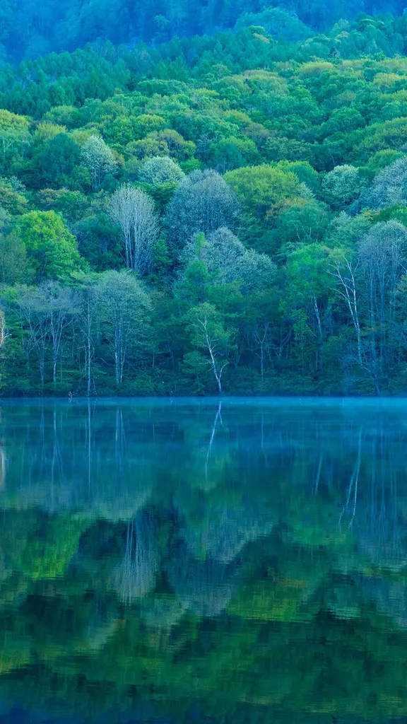 A peaceful place for self-reflection