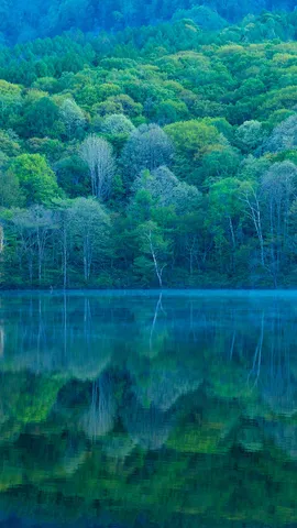 A peaceful place for self-reflection