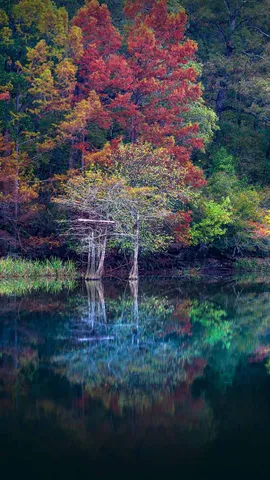 海狸湾度假公园, 美国俄克拉何马州