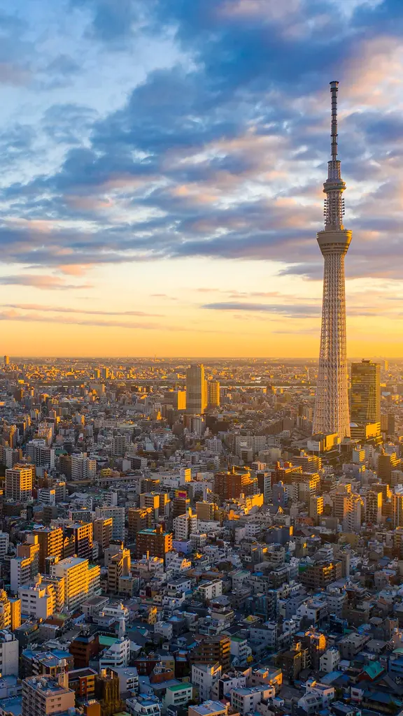 Tokyo at sunrise, Japan