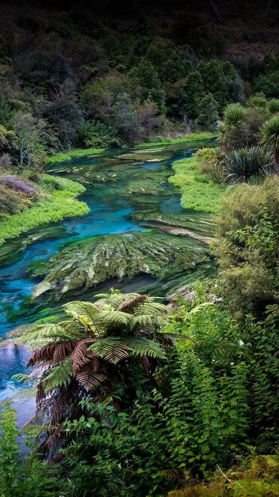 'Water' we celebrating?