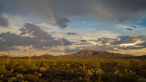 The sky is the limit