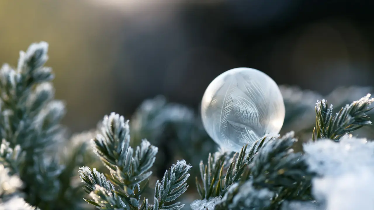 Zauberhafter Baumschmuck
