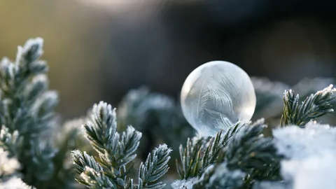 Zauberhafter Baumschmuck