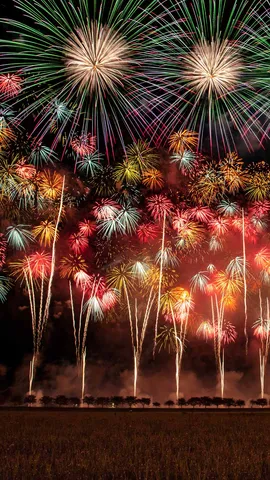 今日は全国花火競技大会の開催日