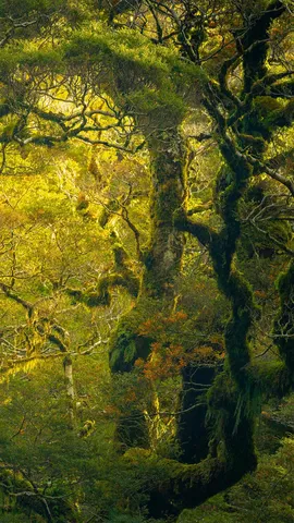 &ldquo;第八大奇迹&rdquo;?