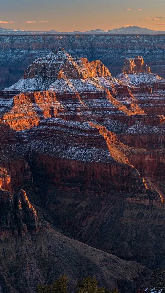 Peaked your curiosity