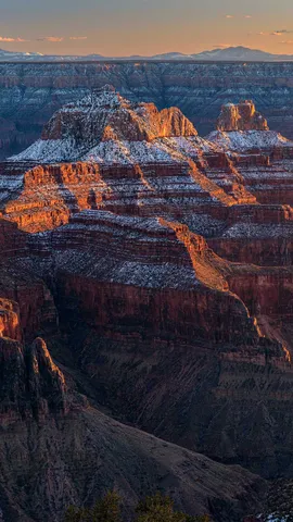 Despierta tu curiosidad