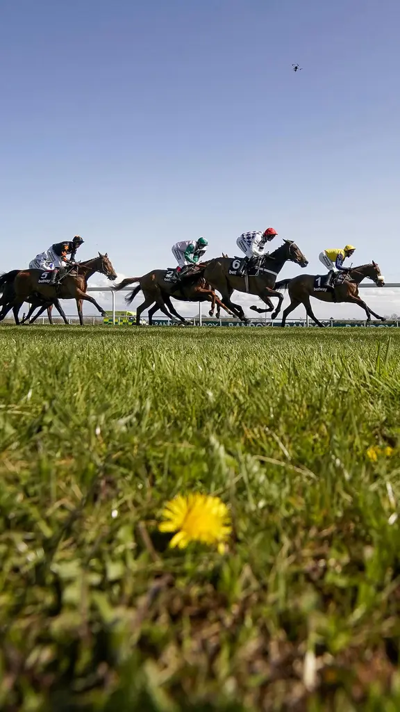 Hold your horses&mdash;it's race time!