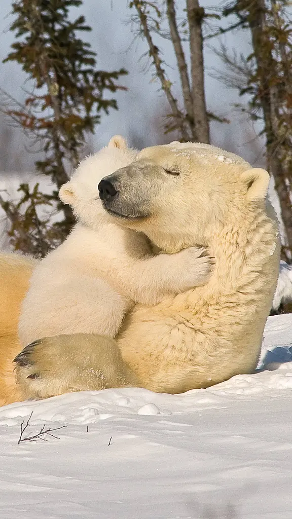 A mother's warmth in the cold