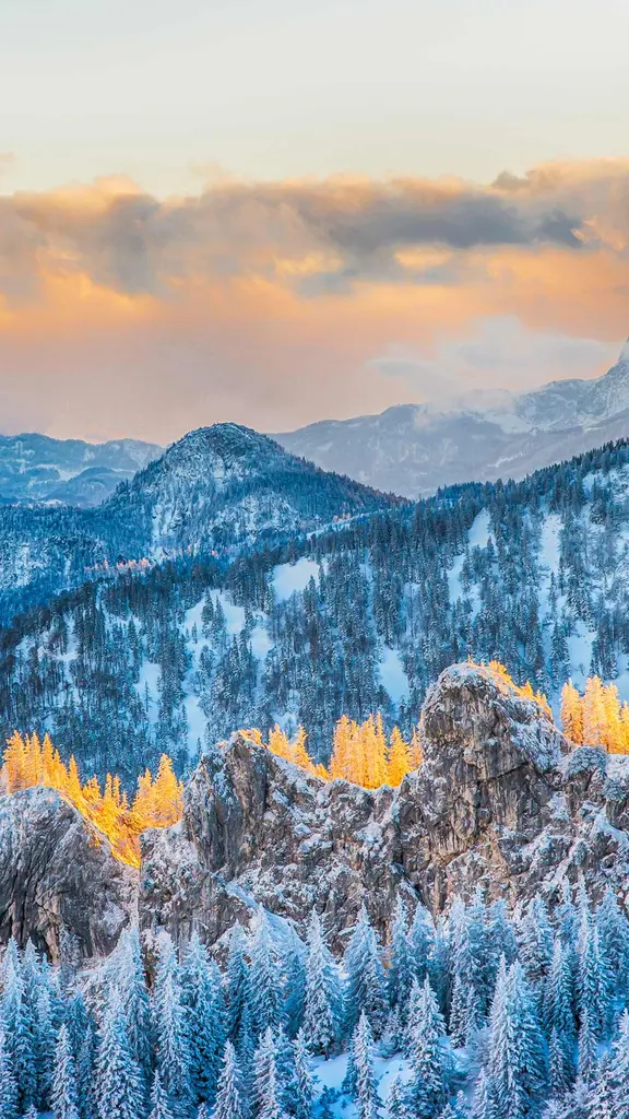 令人惊叹的山顶美景