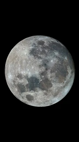 La regina del firmamento