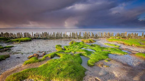 Mud, sea and sky