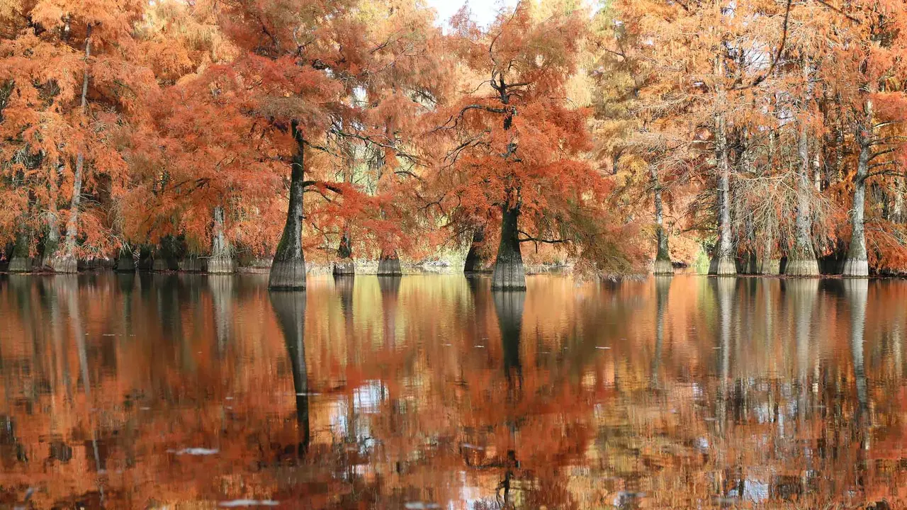 Reflets d&rsquo;automne